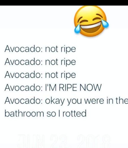 14e2d3ca-251d-46f3-b44d-8811f6c9b931