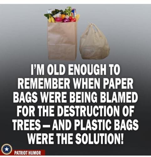 paper or plastic