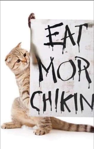 FB_IMG_1726687143774