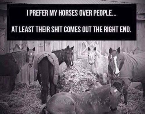 IMG_20240901_163530_263