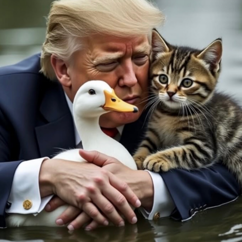 Trump loves pets duck cat