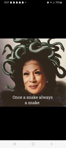 Screenshot_20240908_200704_Facebook