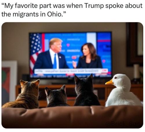 image_131B5AC8-7FD9-4BC1-9FC9-E0F09A55BFE4