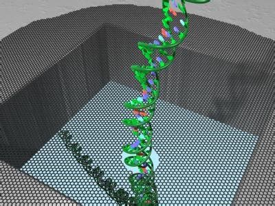 DNA GRAPH