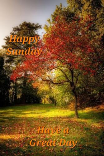 fall morning sunday 5