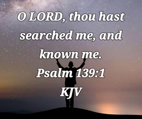 10b79a4d-99f1-446d-8426-b29f5314d247