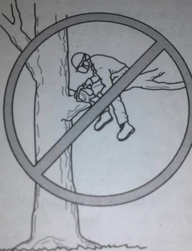 Screenshot 2024-09-04 084617