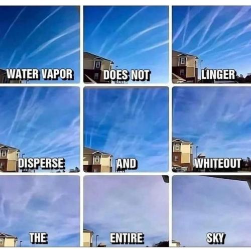 6c792f1a-4822-463d-bf13-27dddc552a3c