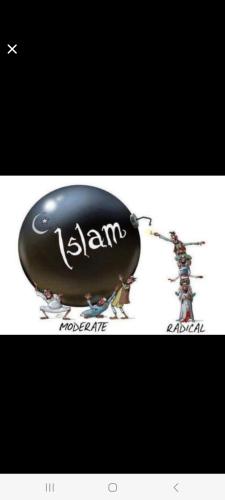 Screenshot_20240916_181240_Wimkin Free Speech Social Media