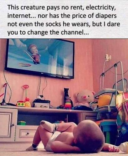 CFC361E5-7A1B-44AE-AA2F-9E66A883B25E