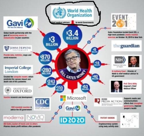 xephula_e863f7734d1205871c72936fd540447a