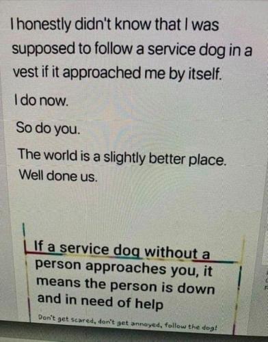 6C5DFB73-C9BA-49ED-B09A-5326CBA992CE