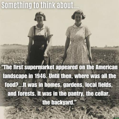 461325316_1044238781039381_8252534463823006123_n