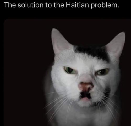 6c4251dc-67c6-4984-91b3-9782b2be37fe