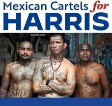 cartels