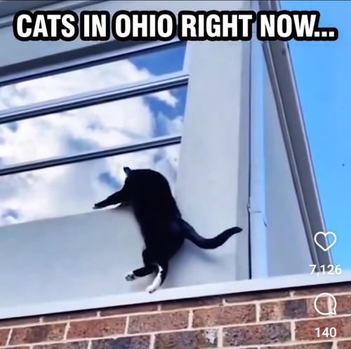 Screenshot_20240912_113255_Instagram