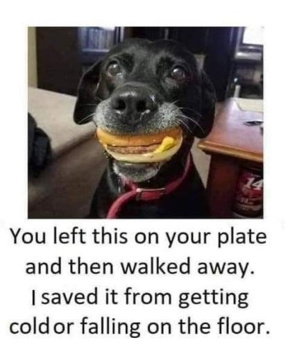 44fb99000812789776fdc8ec4d38b810