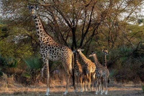 RDT_20240904_1040328858994704867957894