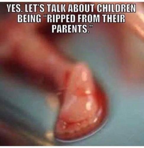 FB_IMG_1557976773785