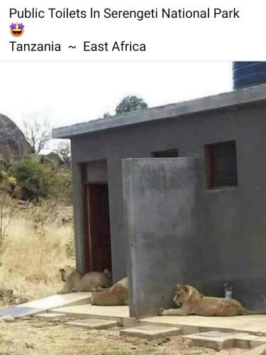 Screenshot_20240921_160312_Facebook