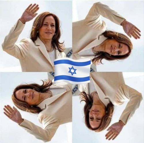 image_C97D210F-8BBE-4416-916D-B7DE44312297