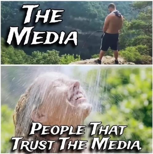 media