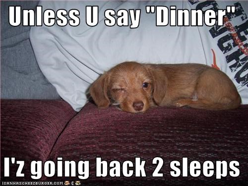 unless-u-say-dinner-iz-going-back-2-sleeps