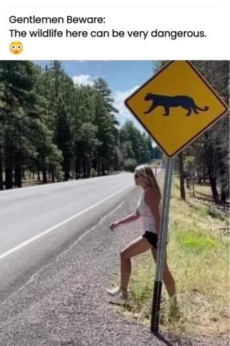 image_53EE180A-95A5-4C85-9F5C-F52B65D8C403