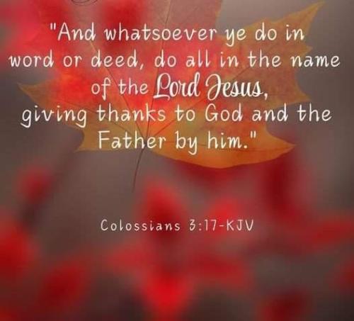 501e721e-8bde-49f0-b516-50a180d09971