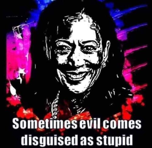 FB_IMG_1727641966416