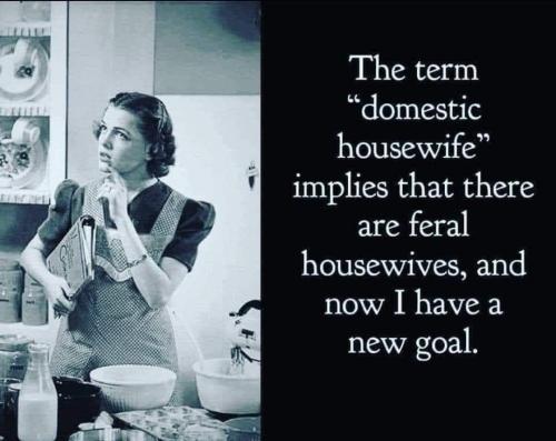 image_FE7838AE-7A25-4327-9E66-6F72DDBF6F6B