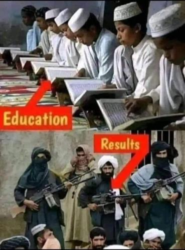 education vs results