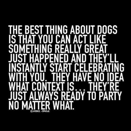 1d06e5fbda6822073e6cc80772666488