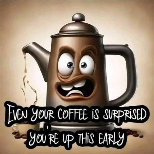 459626140_122172148784160910_1868780476106174597_n