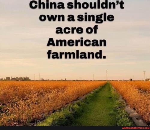 9c0d02d36a6c8efd952e46301523a0038292cb39778770ed276fe12952efea38_1