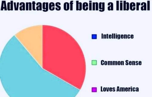 db01d63a-0fee-4a74-954c-fbe9dcfb353c