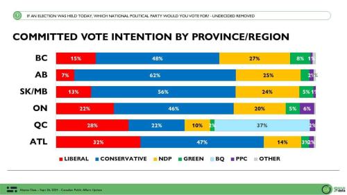 vote intention