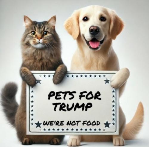 a67f2c28-fbd9-4bcd-a8df-801a8ee26d87