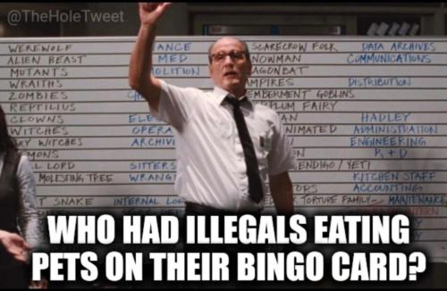 image_8CBD5F50-793D-4365-B6A3-9AA3A2F86843