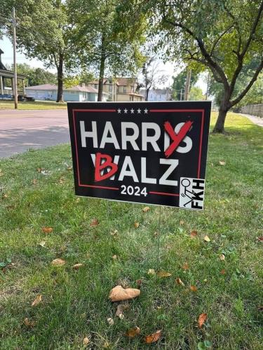 harry balls