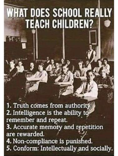 Screenshot_20240908_025825_Facebook