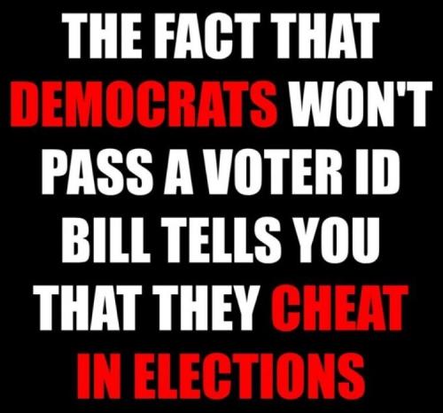 dems cheat t