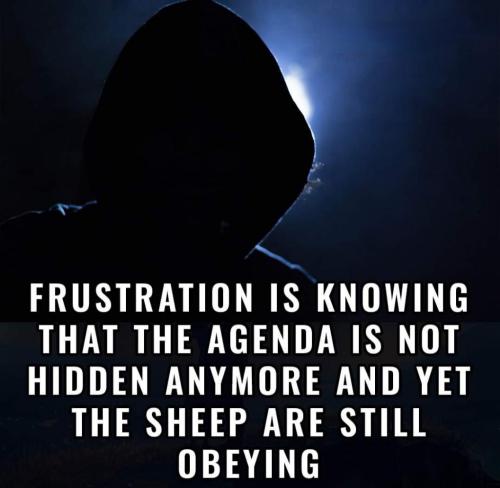 e4bd3452-bb32-44a9-a449-e12b5e7a4e85