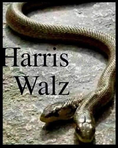 FB_IMG_1726361439141