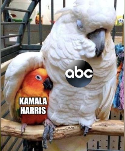 Screenshot_20240910-224924_Wimkin Free Speech Social Media