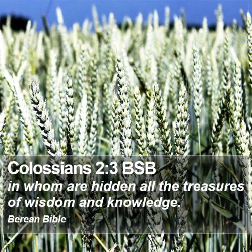 Colossians 2_3