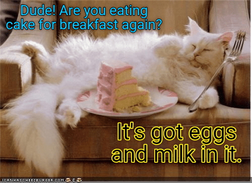 breakfast-of-champions