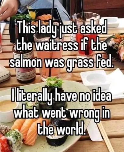 grass fed salmon