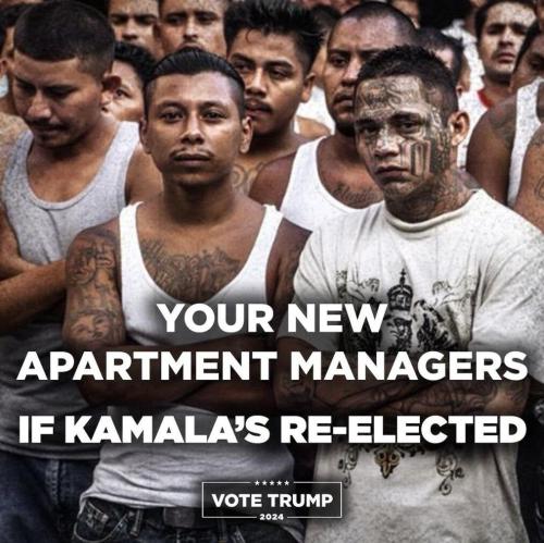 photo_2024-09-05_13-10-04