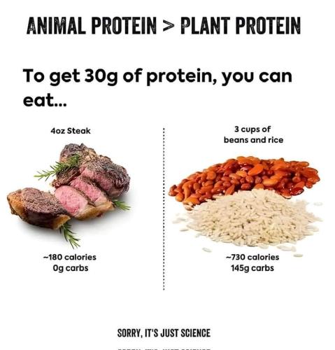 protein